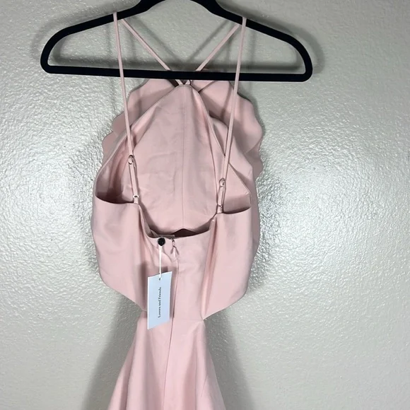 Lovers + Friends Artemis Gown in Light Pink - Picture 5 of 9